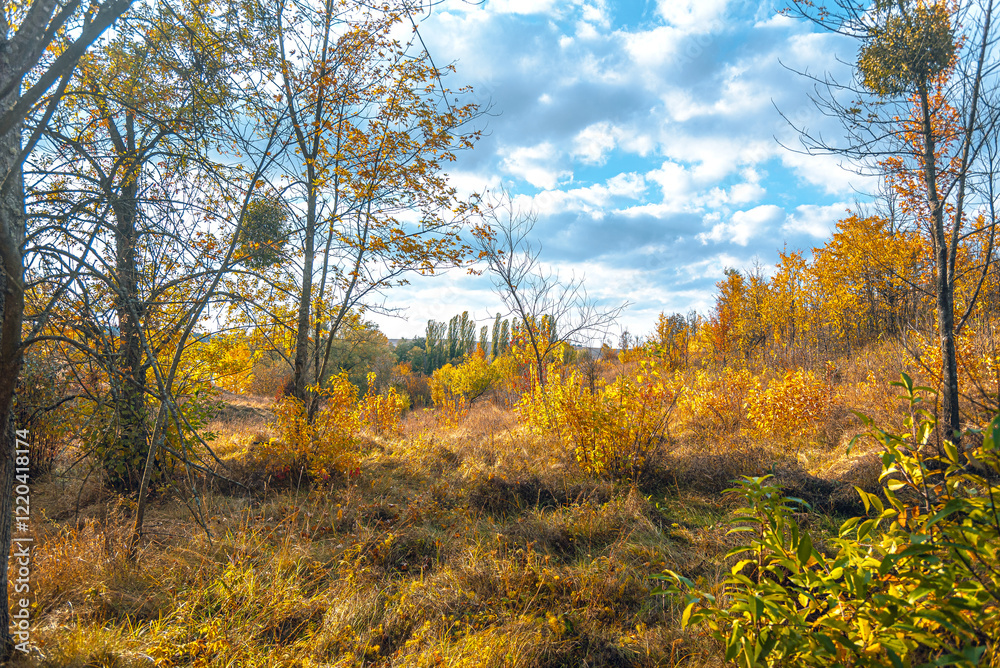 Fototapeta premium Autumn landscape on river