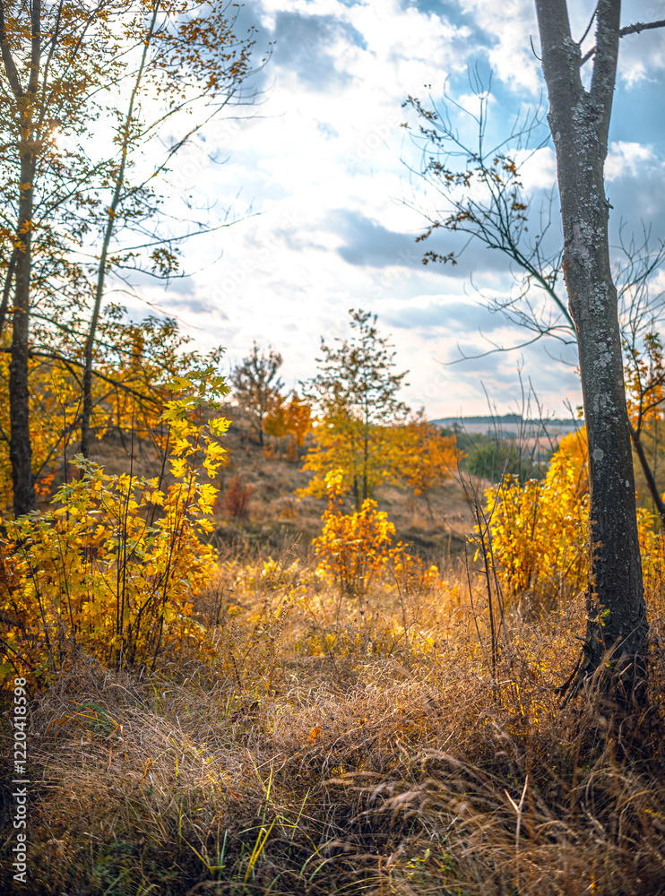 Fototapeta premium Autumn landscape on river
