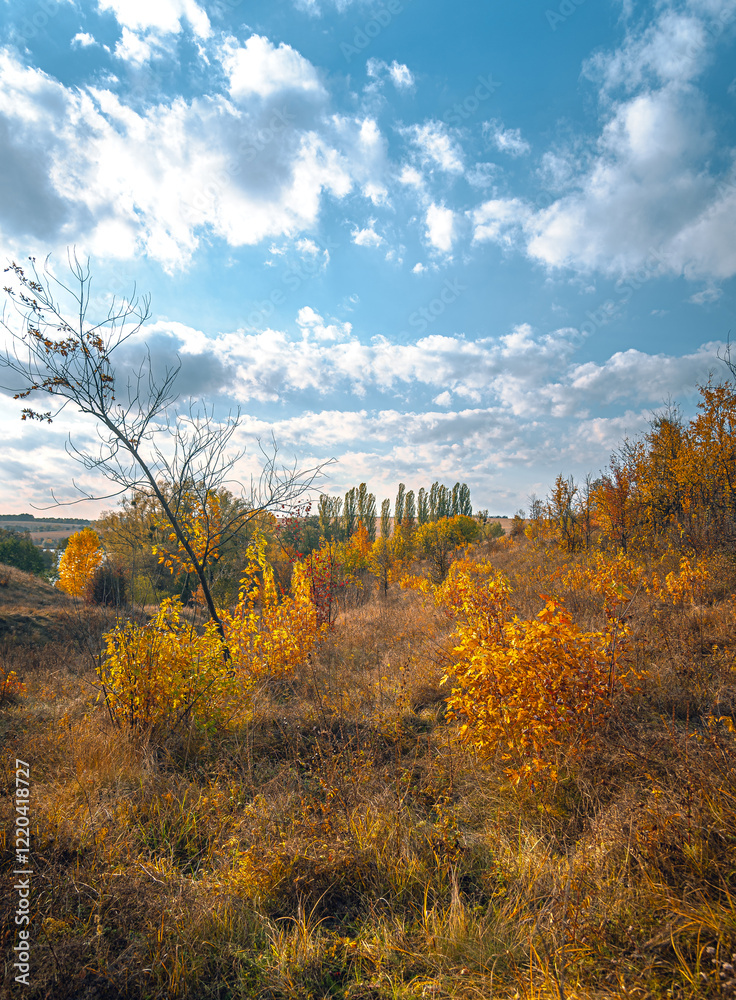Fototapeta premium Autumn landscape on river