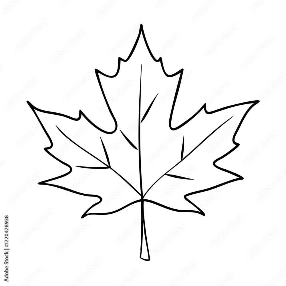 Hand-drawn outline of a maple leaf