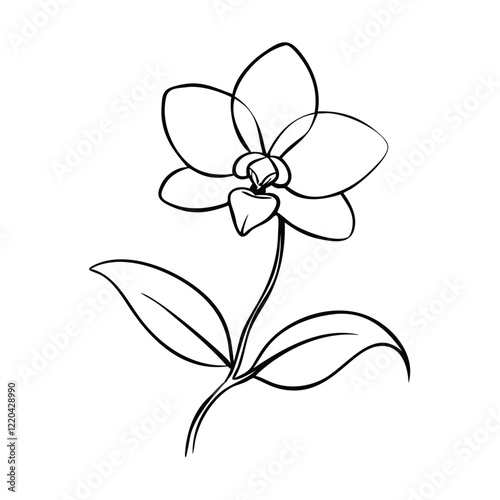 Hand-drawn orchid flower illustration