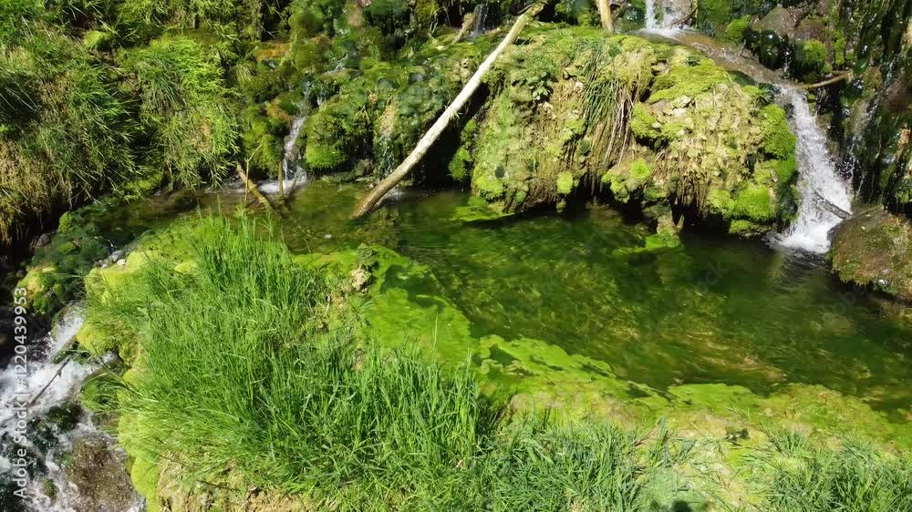 The Cuisance River near the Tufs waterfall, Les Planches-pré-Arbois. Arboise. Jura. Burgundy-Franche
