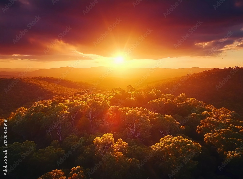 Aerial view of a sunset over a forest in the mountains, with vibrant colors. A stunning landscape with trees and hills in the summertime Aerial view of a sunset over a forest in the mountains, with vibrant colors. A stunning landscape with trees and hills in the summertime