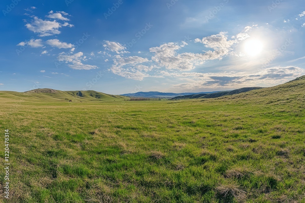 Sunny grassland panorama, rolling hills, blue sky, clouds, travel poster Sunny grassland panorama, rolling hills, blue sky, clouds, travel poster