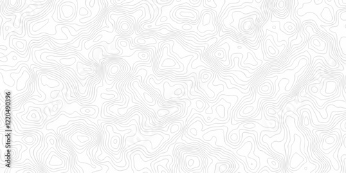 Curved reliefs abstract background White wave paper. Black and white lines seamless Topographic map patterns, topography line map. Contour abstract map relief land outline. Topographic map patterns.