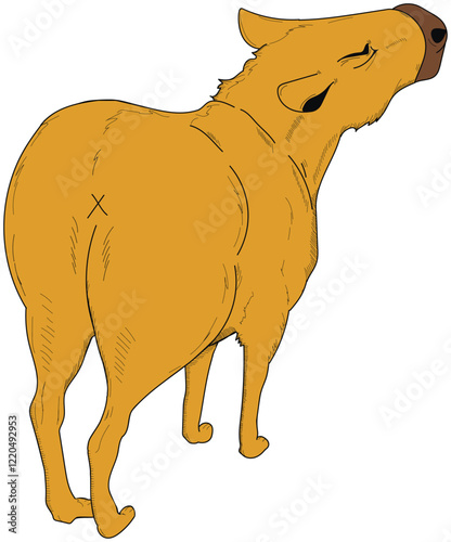 Vector image of a cute funny turned away capybara. Sticker. Capybara silhouette. Capybara on a white background