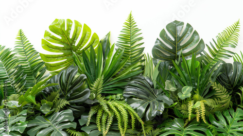 Tropical Greenery Cut-Out Design for Creative Projects