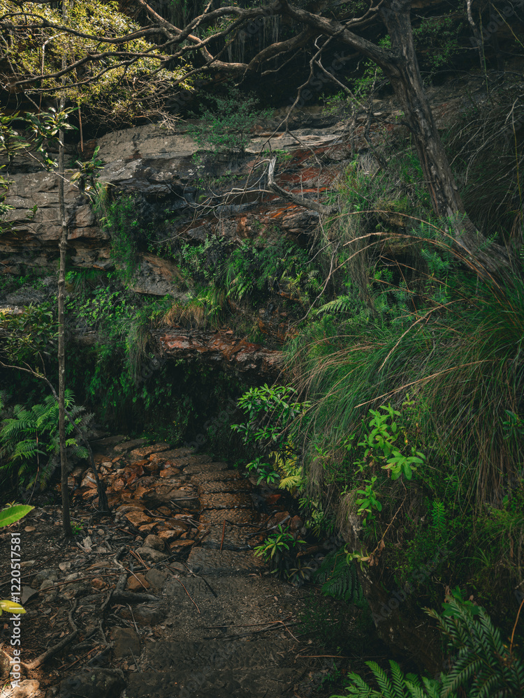 Fototapeta premium Blue Mountains Photography: Stunning Landscapes and Scenic Wilderness of Australia. New South Wales.