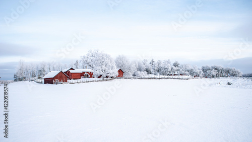 Wallpaper Mural Farm barn and house in a cold winter landscape with snow and frost Torontodigital.ca