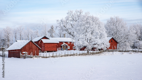 Wallpaper Mural Farm barn and house in a cold winter landscape with snow and frost Torontodigital.ca