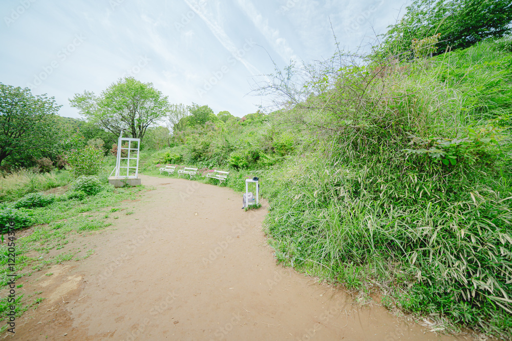 Fototapeta premium 熱海の美しい海と植物の風景