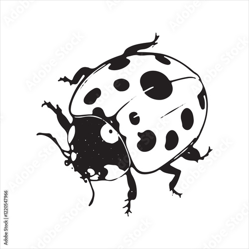 The Science Behind Ladybugs’ Vibrant Colors