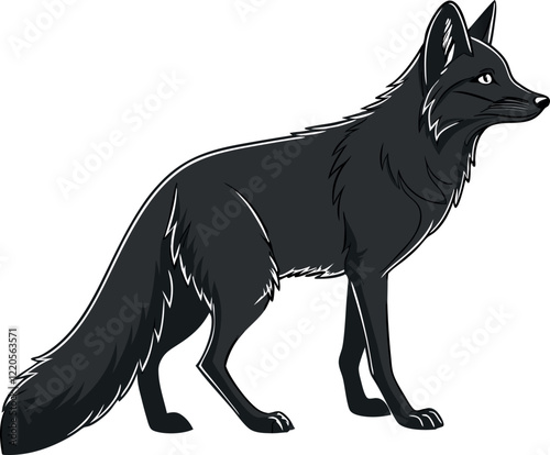 black fox vector on white background 