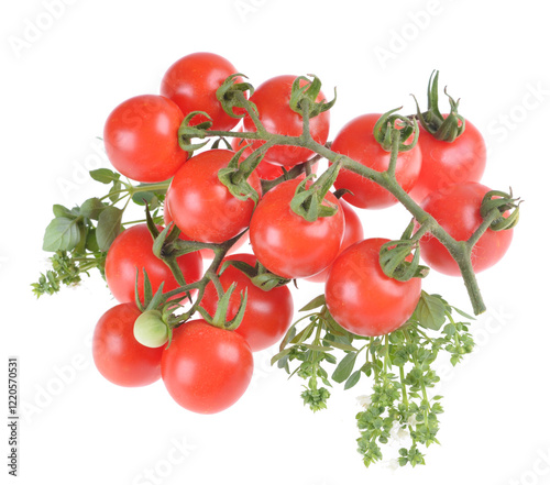 Juicy fresh cherry tomatoes on a twig with green leaves on a white background