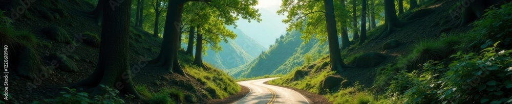 Fototapeta premium Forest canopy above the winding mountain road, earthy, nature, solitude