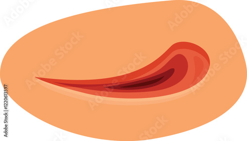 Closed eye showing slightly open eyelid illustrating eye movement during sleep, rem phase, or microsleep