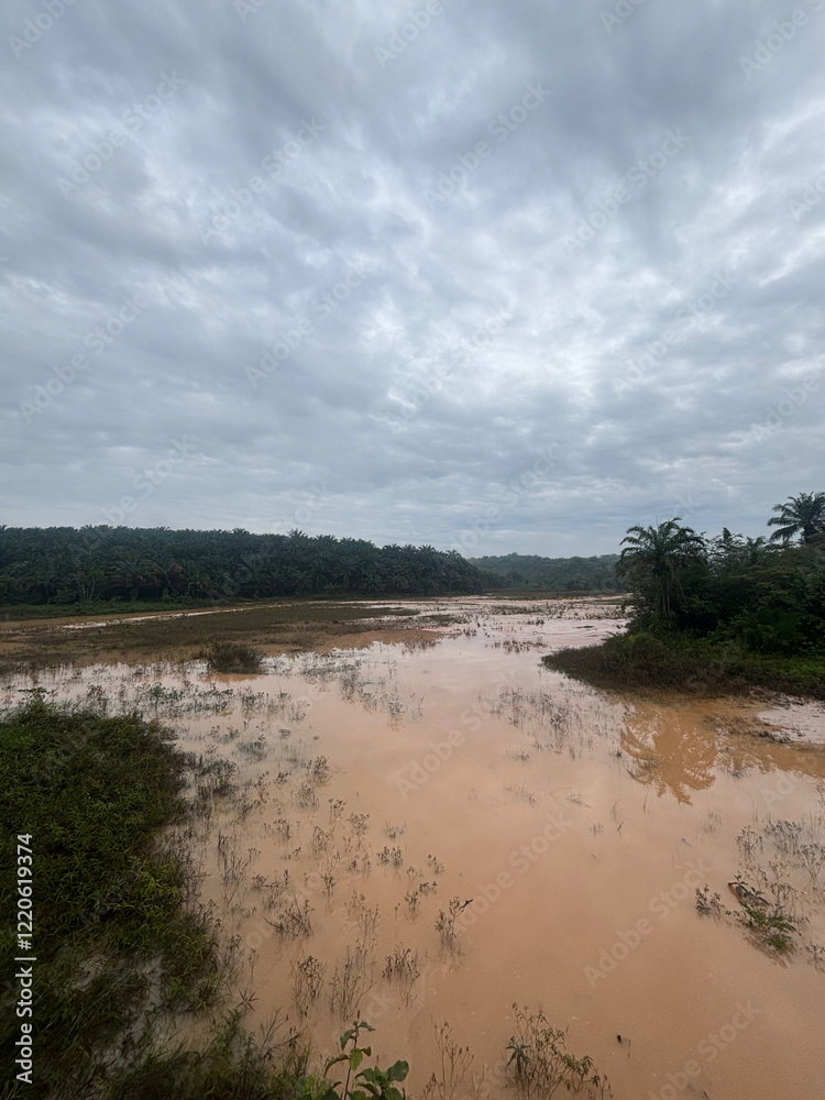 Quiet Rural Scene of Deforestation and Flooded Soil Quiet Rural Scene of Deforestation and Flooded Soil