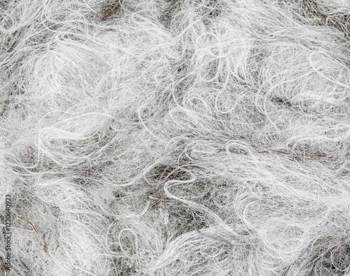 close up of white fishing lines and nets made of nylon looking like thin cotton wool or grey hair laid down on the floor