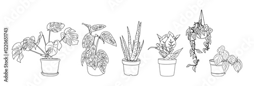 Set of Houseplants outline drawings. Indoor exotic flowers in pots line art. Monstera, aloe, hanging plant for home interior plans, design. Vector illustrations isolated on transparent background.