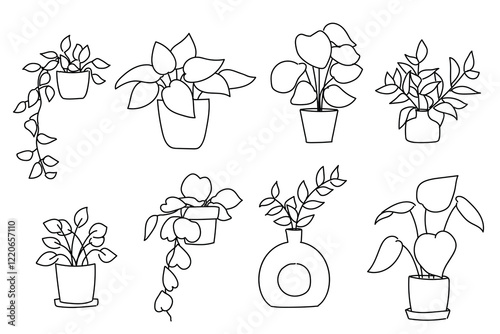 Set of plant in pot hand drawn vector illustrations house plant, home decoration 