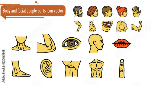 Body and facial people parts icon vector