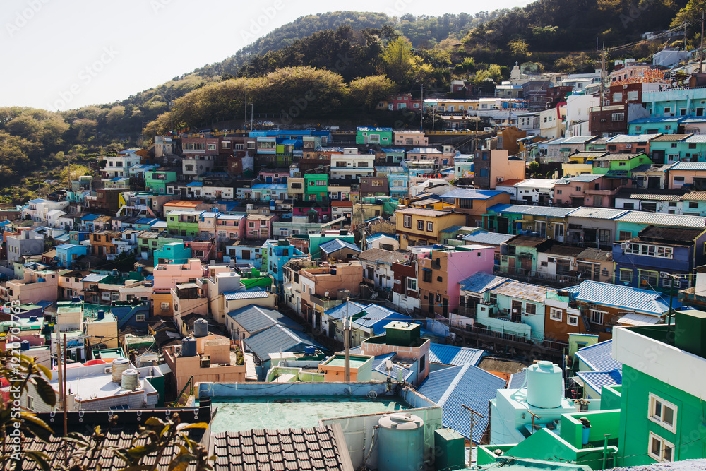 Fototapeta premium View of Gamcheon Culture village, Busan city, South Korea, Gamcheon-dong, Saha District, beautiful view of streets and multicoloured houses in a summer sunny day, Republic of Korea travel