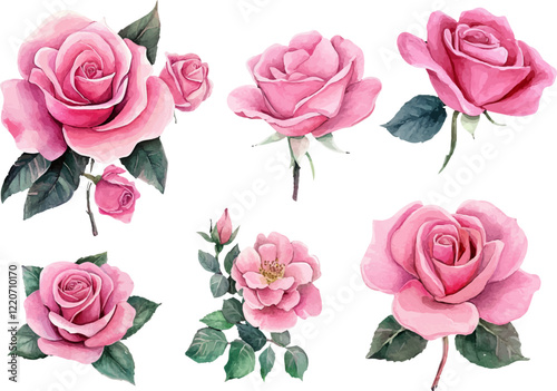 pink roses on white