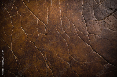 Grunge texture of old leather with scratches and wrinkles