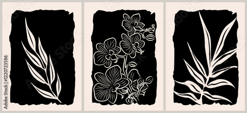 Orchid flowers line art drawing beige and black wall art, poster. Vector illustration
