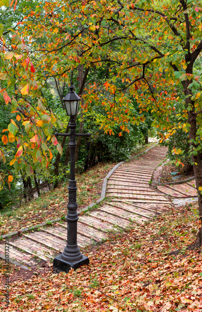 Naklejka premium Old Park. Nice autumn weather for walks in nature.
