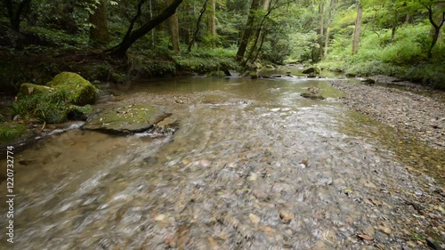 緑の森をバックに流れる沢山の小石が底にある浅い川