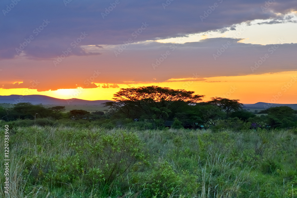 Obraz premium Kenya sunset illuminating the savannah with warm colors