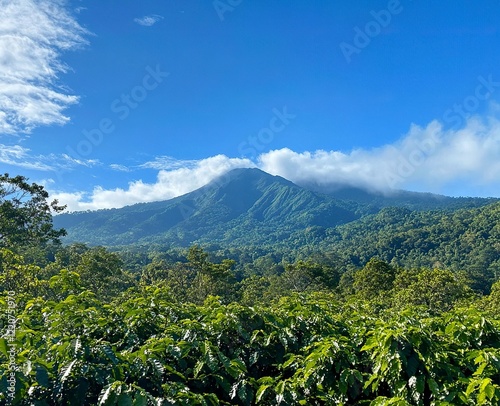 A view of the volcano in Kib Aden, West Nusantara, overlooking from Bumisama with green trees and blue sky. 