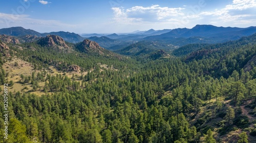 A sweeping aerial view of mountain ridges covered in dense pine forests