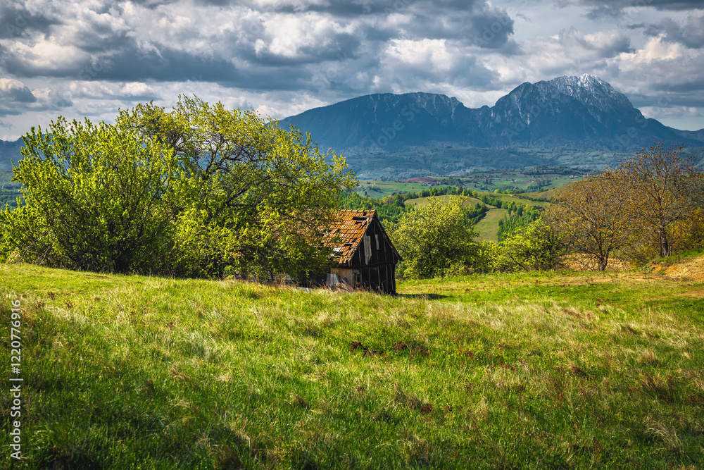 Lonely old rural hut on the glade, Holbav, Romania