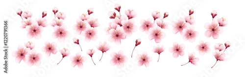 Realistic Cherry Blossom Flowers Set Isolated on White Background. Vector Illustration