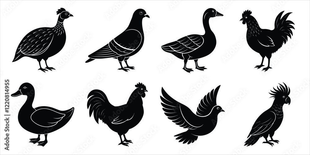 Obraz premium Bird silhouette collection. Domestic bird set vector illustration
