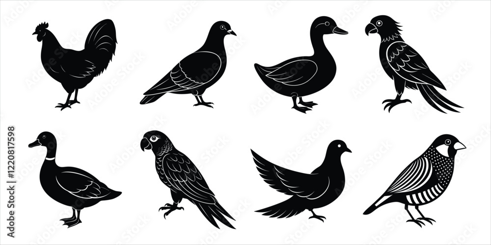 Fototapeta premium Bird silhouette collection. Domestic bird set vector illustration