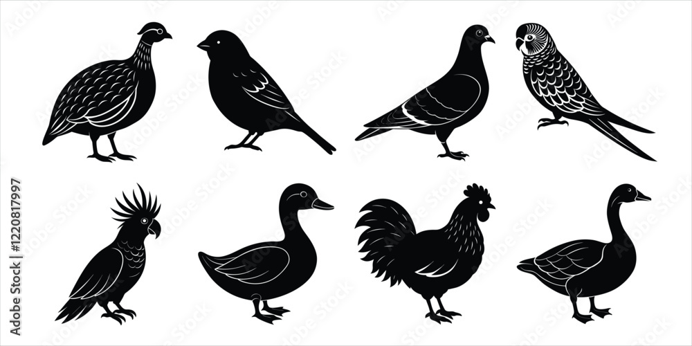 Fototapeta premium Bird silhouette collection. Domestic bird set vector illustration
