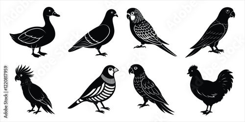 Wallpaper Mural Bird silhouette collection. Domestic bird set vector illustration Torontodigital.ca