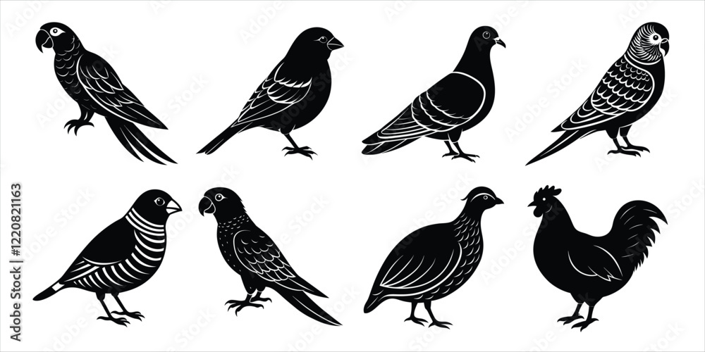 Obraz premium Bird silhouette collection. Domestic bird set vector illustration
