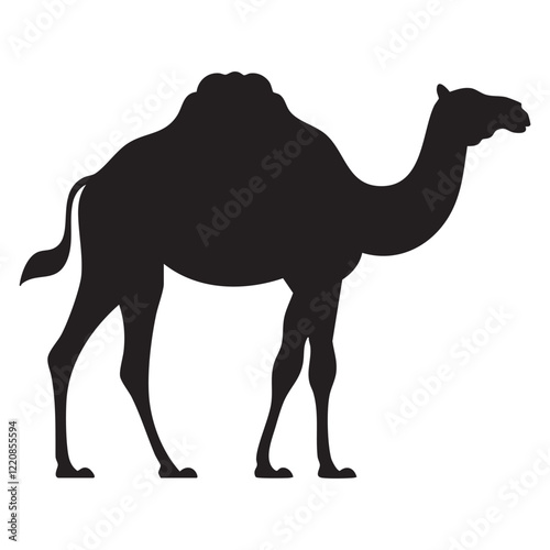 Camel Silhouette