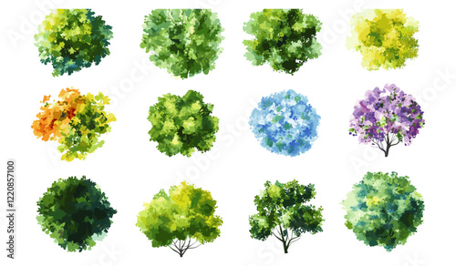Abstract watercolor vector of tree top view, isolated white background, garden elements, architecture layout, landscape plan, blooming flower, grass, environment design