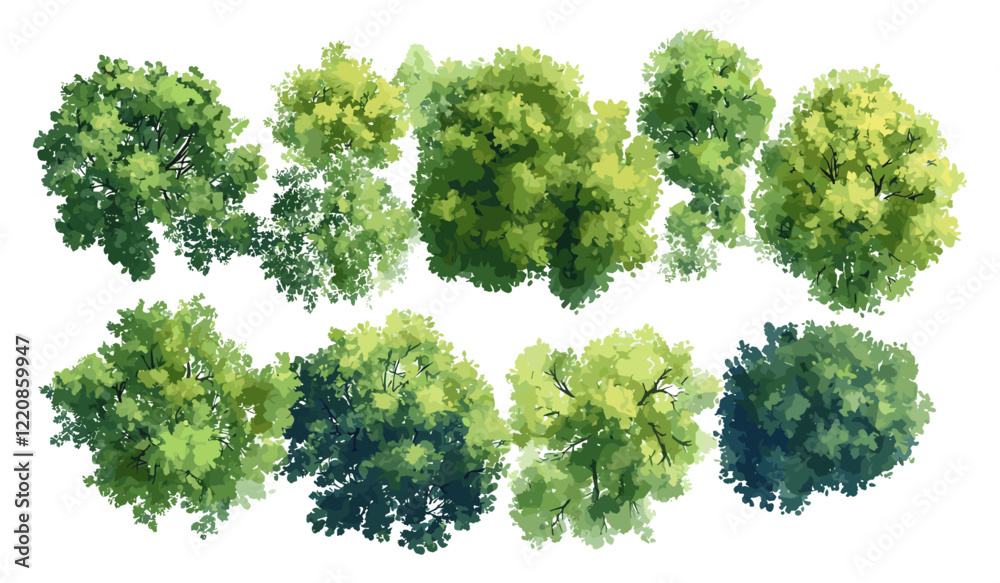 Vector illustration of abstract watercolor tree top view, isolated on white background for landscape plan, architecture layout drawing, garden elements, environment, flower blooming