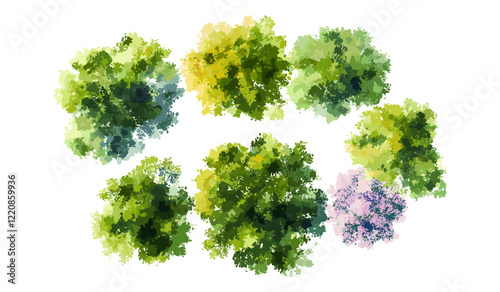 Abstract watercolor tree top view vector illustration, isolated on white background for landscape plan, architecture layout drawing, elements for environment, garden, blossom grass