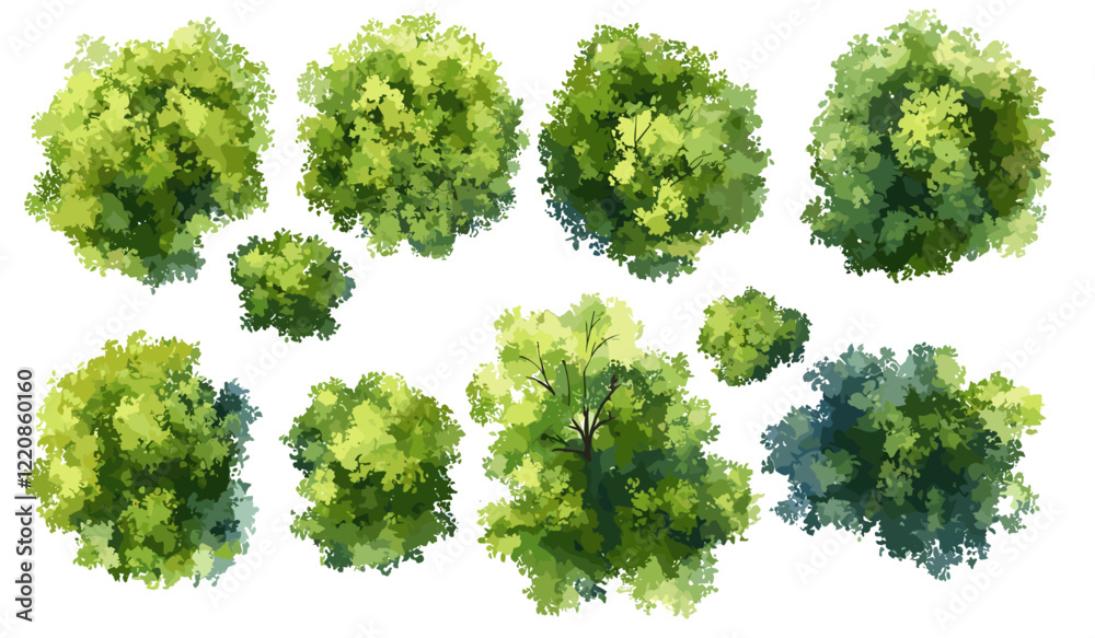 Abstract watercolor tree top view vector, isolated on white background for landscape plan, architecture layout, garden elements, environment, flower blooming, blossom grass, drawing.