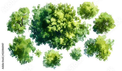 Abstract watercolor tree vector illustration, top view for landscape plan and architecture layout drawing, isolated on white background, garden elements, grass, flower blooming, blossom.