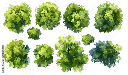 Abstract watercolor tree top view vector, isolated on white background for landscape plan, architecture layout, garden elements, environment, flower blooming, blossom grass, drawing.