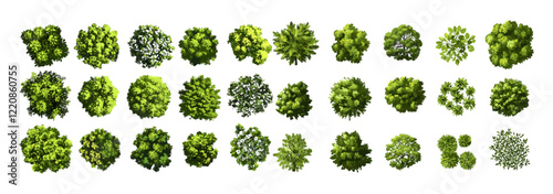 Top view green tree vector set for outdoor plan, map, and architecture drawing, garden elements, environment, tropical plants, botanical elements, blooming flowers in spring