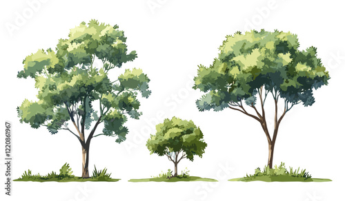 Watercolor vector illustration of green tree or forest, isolated on white background, landscape drawing, shrub elements for architecture, environment and garden section design.